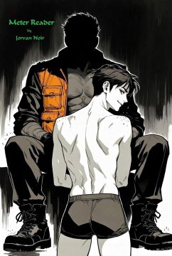 Meter Reader (eBook, ePUB) - Noir, Jorvan