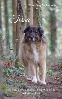 Tessa (eBook, ePUB)