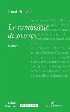 Cover Le ramasseur de pierres