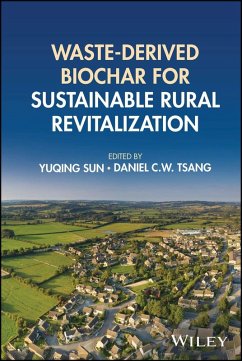 Cover Waste-derived Biochar for Sustainable Rural Revitalization (eBook, PDF)