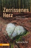 Zerrissenes Herz