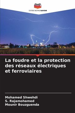 Cover La foudre et la protection des réseaux électriques et ferroviaires