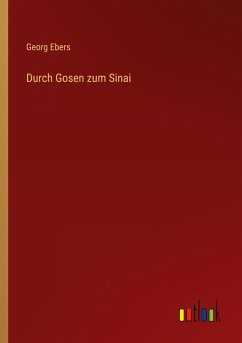 Cover Durch Gosen zum Sinai