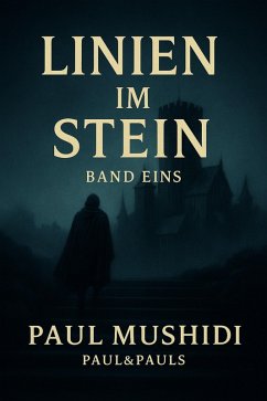 Cover Linien im Stein 1 (eBook, ePUB)