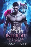 Le bébé secret interdit de Luna de l'Alpha (La meute de Roi Shadow Ridge de l'Alpha, #2) (eBook, ePUB)