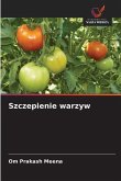 Szczepienie warzyw Szczepienie warzyw