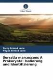 Serratia marcescens A Prokaryote: Isolierung und Identifizierung