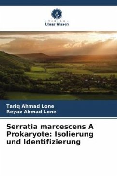 Cover Serratia marcescens A Prokaryote: Isolierung und Identifizierung