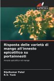 Risposta delle varietà di mango all'innesto epicotilico su portainnesti