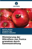 Minimierung der Mikroflora von Punica granatum durch Gammastrahlung