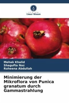 Cover Minimierung der Mikroflora von Punica granatum durch Gammastrahlung