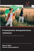 Przemy¿lenie duszpasterstwa m¿odzie¿y