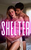 Shelter (eBook, ePUB)