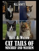 Felix & Willow cat tails of mischief and mayhem