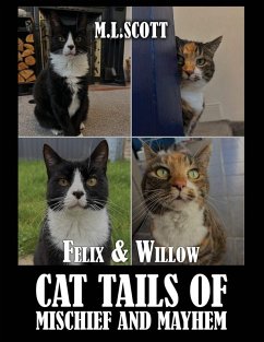 Cover Felix & Willow cat tails of mischief and mayhem
