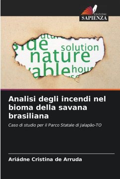 Cover Analisi degli incendi nel bioma della savana brasiliana