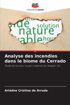 Cover Analyse des incendies dans le biome du Cerrado
