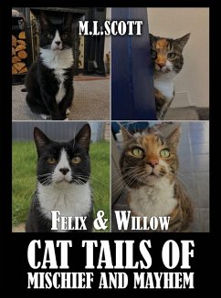 Cover Felix & Willow cat tails of mischief and mayhem