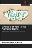 Analysis of Fire in the Cerrado Biome Analysis of Fire in the Cerrado Biome
