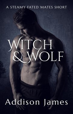 Cover Witch & Wolf (eBook, ePUB)