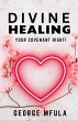 Divine Healing (eBook, ePUB) - Bild 1