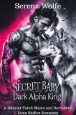 Secret Baby of the Dark Alpha King: A Sinister Fated-Mates and Reclaimed Luna Shifter Romance (eBook, ePUB)