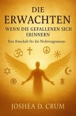 Die Erwachten: Wenn die Gefallenen sich erinnern (The Hidden Return, #2) (eBook, ePUB)