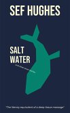 Salt Water: And Other Short Stories (eBook, ePUB)