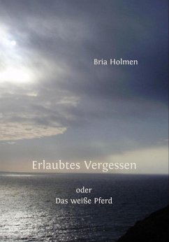 Erlaubtes Vergessen (eBook, ePUB) - Holmen, Bria