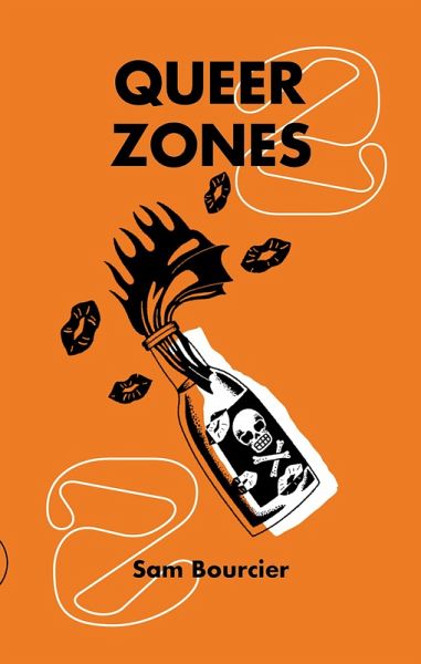 Queer Zones 2 (eBook, ePUB)