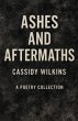 Ashes and Aftermaths - Bild 1