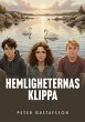 Hemligheternas klippa - Bild 1