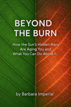 Cover Beyond the Burn (eBook, ePUB)