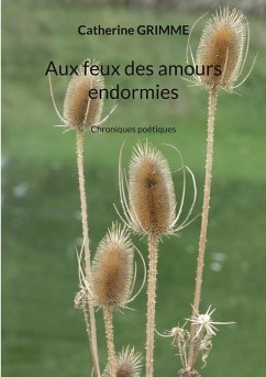 Aux feux des amours endormies (eBook, ePUB)