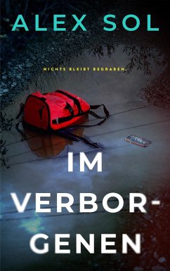 Im Verborgenen (eBook, ePUB) - Alex Sol
