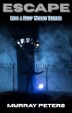 Escape: Into A Deep Woods Terror (Dark & Sinister Series, #7) (eBook, ePUB)