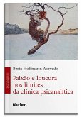Paixão e loucura nos limites da clínica psicanalítica (eBook, ePUB)