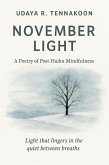 Novermber Light: A Poetry of Post-Haiku Mindfulness (Seasonal Poetry, #2) (eBook, ePUB)
