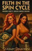 Filth in the Spin Cycle: Where Dirty Socks Brew Desire (Addictive Filth, #21) (eBook, ePUB)