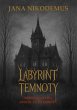 Labyrint Temnoty (eBook, ePUB) - Bild 1