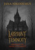Labyrint Temnoty (eBook, ePUB)