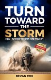 Turn Toward The Storm (eBook, ePUB)