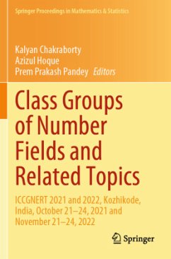 Cover Class Groups of Number Fields and Related Topics