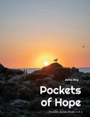 Pockets Of Hope (eBook, ePUB)