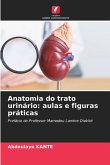 Anatomia do trato urinário: aulas e figuras práticas