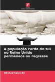 A população curda do sul no Reino Unido permanece ou regressa