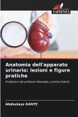 Anatomia dell'apparato urinario: lezioni e figure pratiche