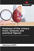 Anatomy of the urinary tract: lectures and practical figures