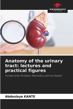 Cover Anatomy of the urinary tract: lectures and practical figures