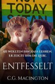 Entfesselt (eBook, ePUB)